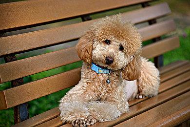 微软要求法院搁置玩家个人反垄断诉讼 遭美国法官驳回